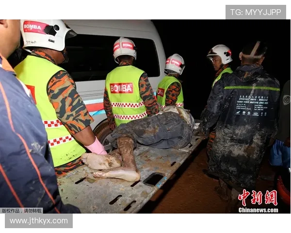 汉堡意外坠落引发的惊人滑坡